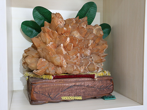NG9A9951.jpg